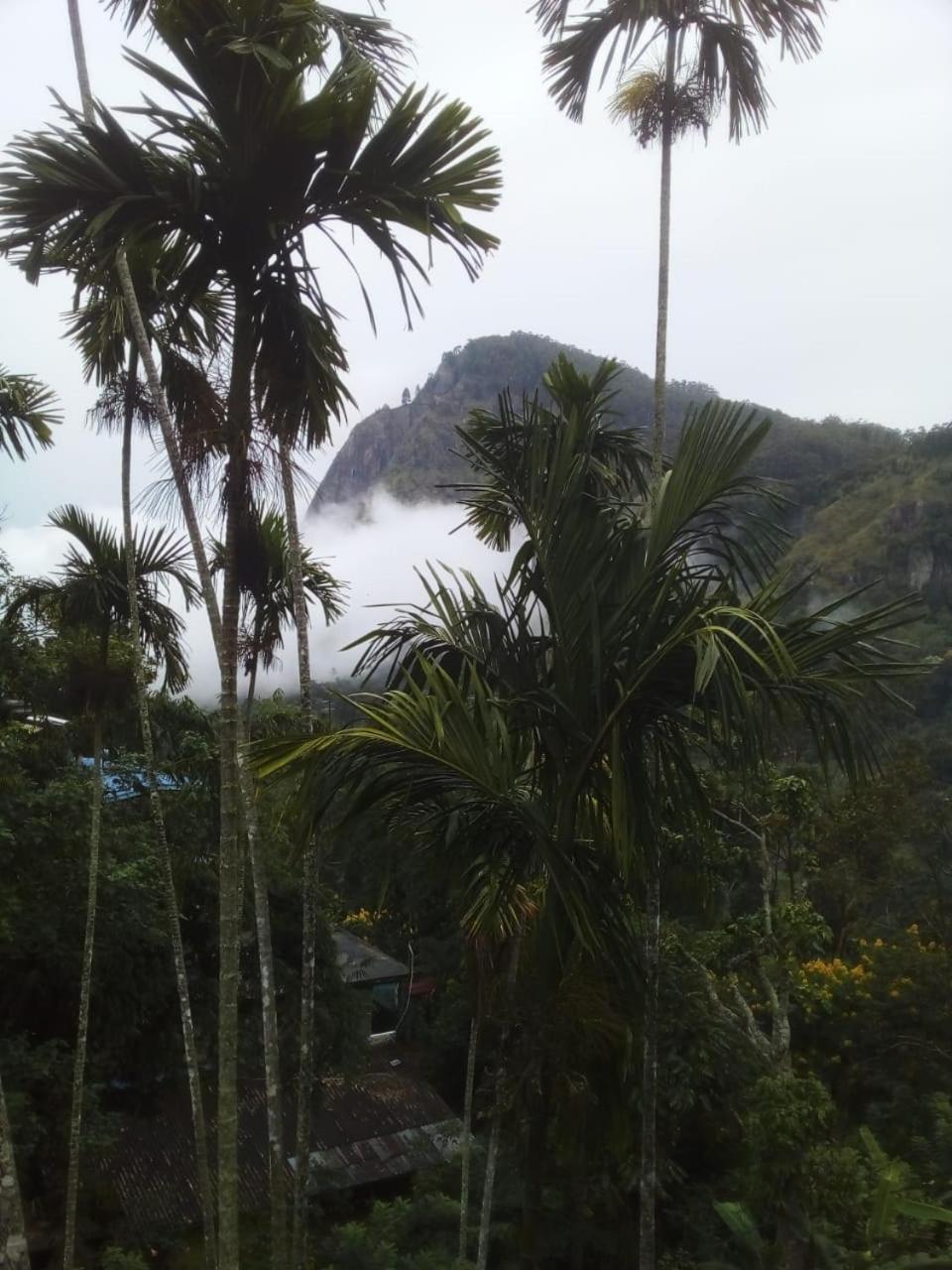 Misty Heaven Bed & Breakfast Ella Bagian luar foto