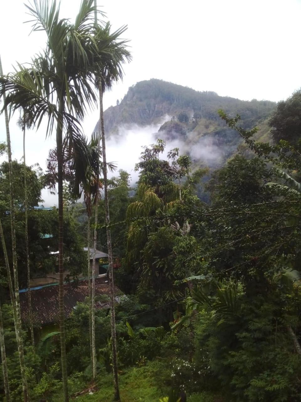 Misty Heaven Bed & Breakfast Ella Bagian luar foto