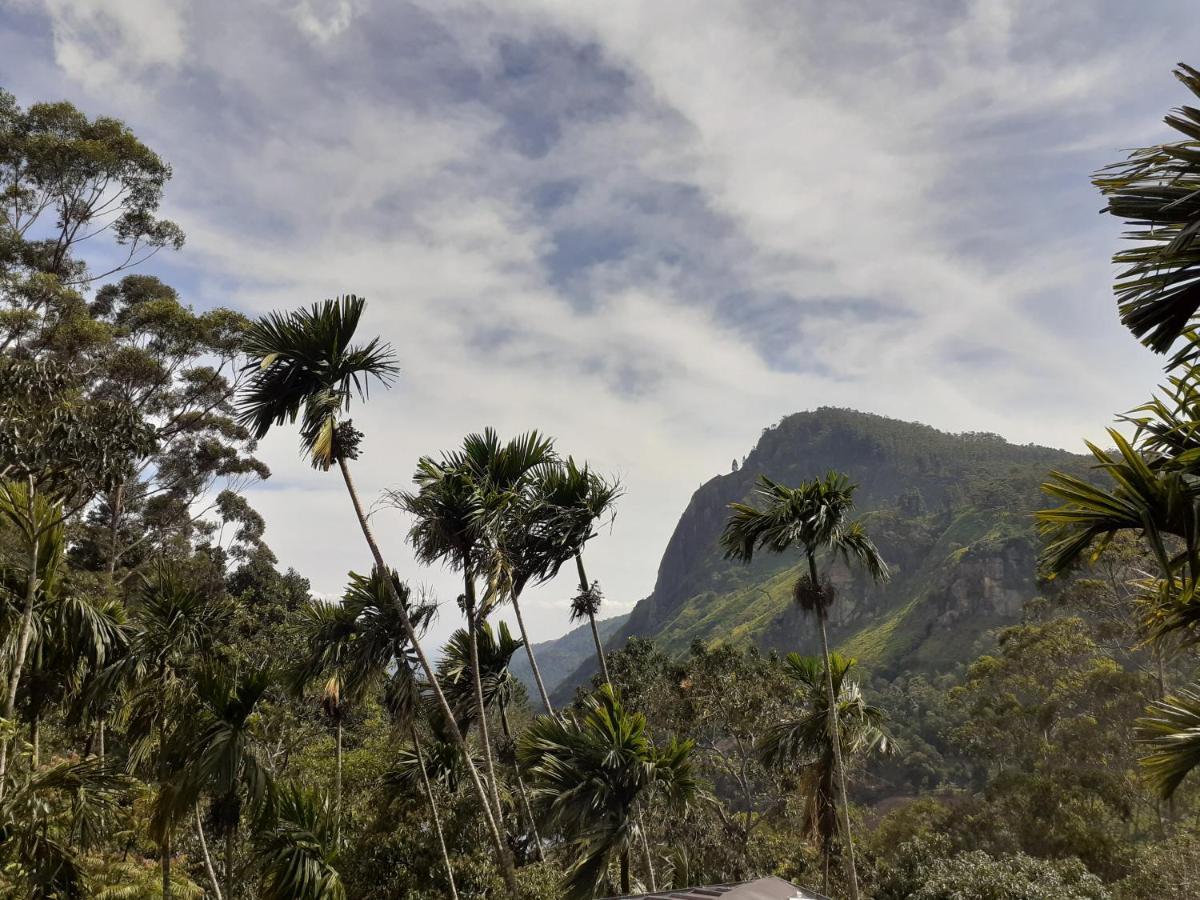 Misty Heaven Bed & Breakfast Ella Bagian luar foto